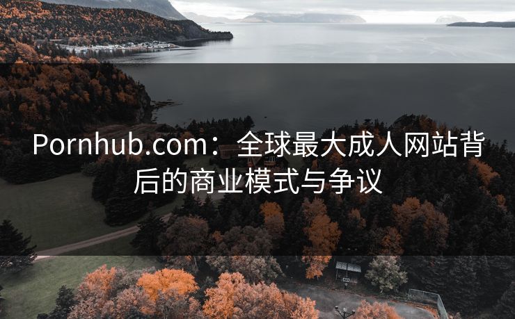 Pornhub.com：全球最大成人网站背后的商业模式与争议  第1张